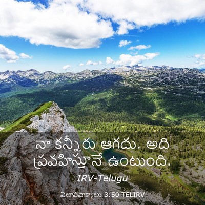Picture 03 - విలాపవాక్యాలు 3:50 TELIRV - నా కన్నీరు ఆగదు. - Bible Verse Picture