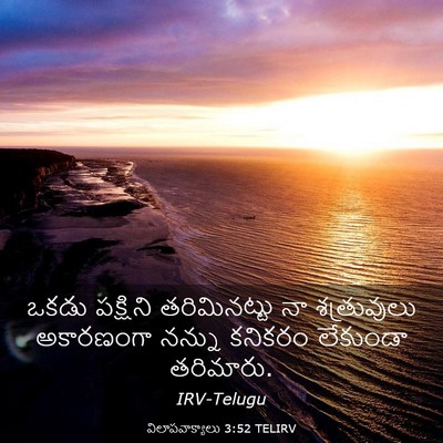 Picture 03 - విలాపవాక్యాలు 3:52 TELIRV - ఒకడు పక్షిని - Bible Verse Picture