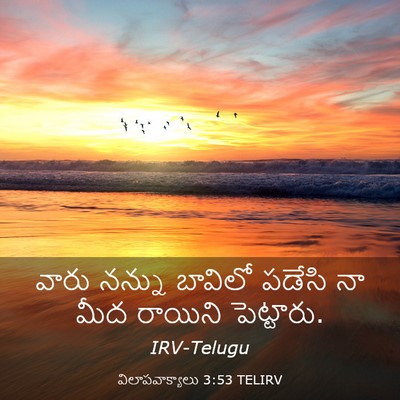 Picture 03 - విలాపవాక్యాలు 3:53 TELIRV - వారు నన్ను బావిలో - Bible Verse Picture