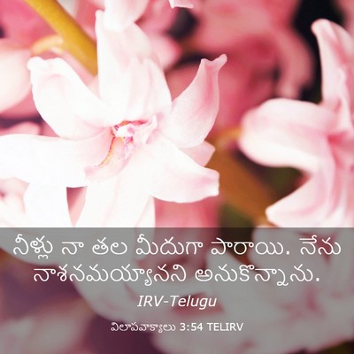 Picture 03 - విలాపవాక్యాలు 3:54 TELIRV - నీళ్లు నా తల - Bible Verse Picture