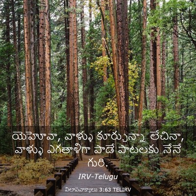 Picture 03 - విలాపవాక్యాలు 3:63 TELIRV - యెహోవా, వాళ్ళు - Bible Verse Picture