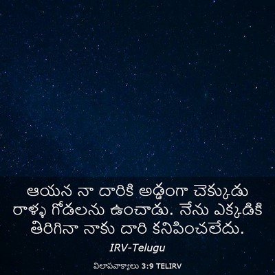 Picture 03 - విలాపవాక్యాలు 3:9 TELIRV - ఆయన నా దారికి - Bible Verse Picture