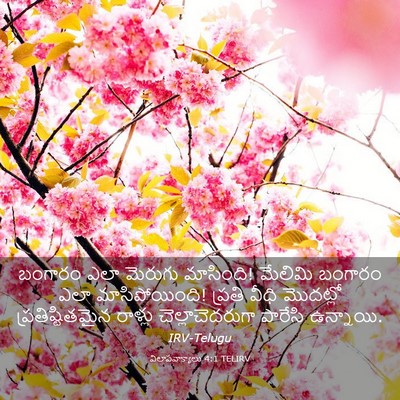 Picture 03 - విలాపవాక్యాలు 4:1 TELIRV - బంగారం ఎలా మెరుగు - Bible Verse Picture