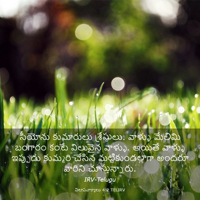 Picture 03 - విలాపవాక్యాలు 4:2 TELIRV - సీయోను కుమారులు - Bible Verse Picture