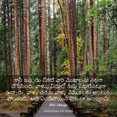 Picture 03 - విలాపవాక్యాలు 4:8 TELIRV - కానీ ఇప్పుడు - Bible Verse Picture