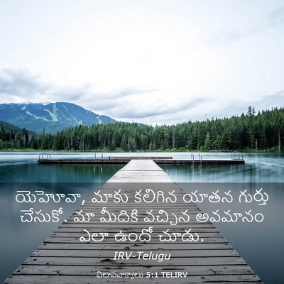 Picture 03 - విలాపవాక్యాలు 5:1 TELIRV - యెహోవా, మాకు - Bible Verse Picture
