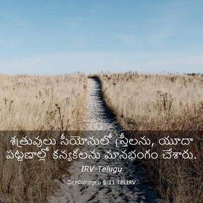 Picture 03 - విలాపవాక్యాలు 5:11 TELIRV - శత్రువులు - Bible Verse Picture