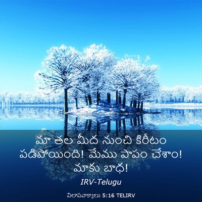 Picture 03 - విలాపవాక్యాలు 5:16 TELIRV - మా తల మీద నుంచి - Bible Verse Picture