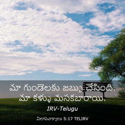 Picture 03 - విలాపవాక్యాలు 5:17 TELIRV - మా గుండెలకు జబ్బు - Bible Verse Picture