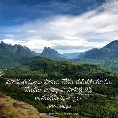 Picture 03 - విలాపవాక్యాలు 5:7 TELIRV - మా పితరులు పాపం - Bible Verse Picture