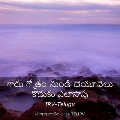 Picture 03 - సంఖ్యాకాండం 1:14 TELIRV - గాదు గోత్రం నుండి - Bible Verse Picture