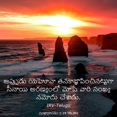 Picture 03 - సంఖ్యాకాండం 1:19 TELIRV - అప్పుడు యెహోవా - Bible Verse Picture