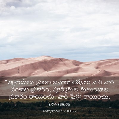 Picture 03 - సంఖ్యాకాండం 1:2 TELIRV - “ఇశ్రాయేలు ప్రజల - Bible Verse Picture