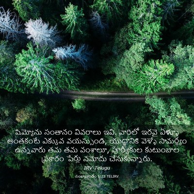 Picture 03 - సంఖ్యాకాండం 1:22 TELIRV - షిమ్యోను సంతానం - Bible Verse Picture