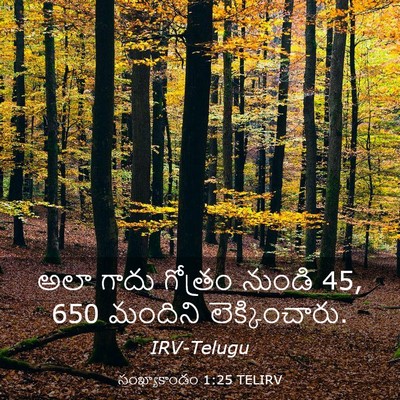 Picture 03 - సంఖ్యాకాండం 1:25 TELIRV - అలా గాదు గోత్రం - Bible Verse Picture