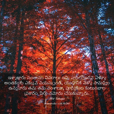 Picture 03 - సంఖ్యాకాండం 1:28 TELIRV - ఇశ్శాఖారు సంతానం - Bible Verse Picture
