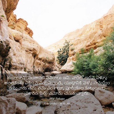 Picture 03 - సంఖ్యాకాండం 1:30 TELIRV - జెబూలూను సంతానం - Bible Verse Picture