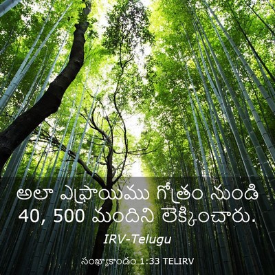 Picture 03 - సంఖ్యాకాండం 1:33 TELIRV - అలా ఎఫ్రాయిము - Bible Verse Picture