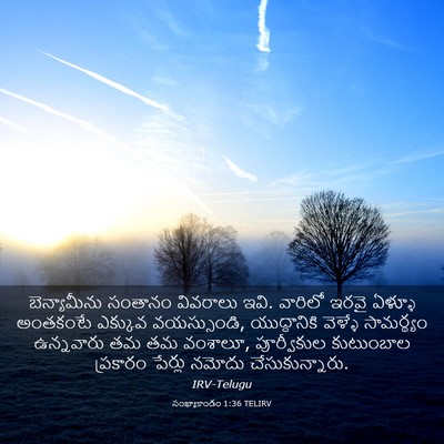 Picture 03 - సంఖ్యాకాండం 1:36 TELIRV - బెన్యామీను సంతానం - Bible Verse Picture