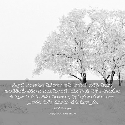 Picture 03 - సంఖ్యాకాండం 1:42 TELIRV - నఫ్తాలి సంతానం - Bible Verse Picture