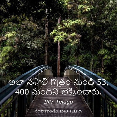 Picture 03 - సంఖ్యాకాండం 1:43 TELIRV - అలా నఫ్తాలి - Bible Verse Picture