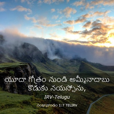 Picture 03 - సంఖ్యాకాండం 1:7 TELIRV - యూదా గోత్రం నుండి - Bible Verse Picture