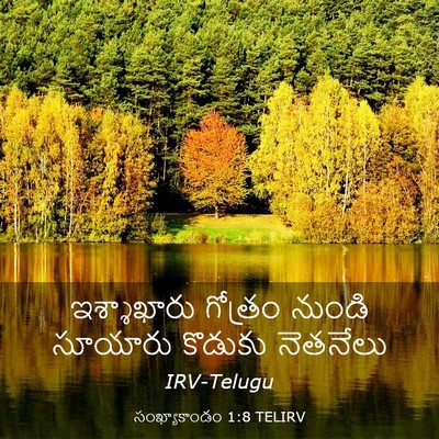Picture 03 - సంఖ్యాకాండం 1:8 TELIRV - ఇశ్శాఖారు గోత్రం - Bible Verse Picture