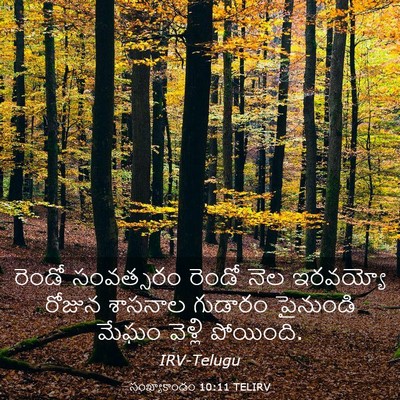 Picture 03 - సంఖ్యాకాండం 10:11 TELIRV - రెండో సంవత్సరం - Bible Verse Picture