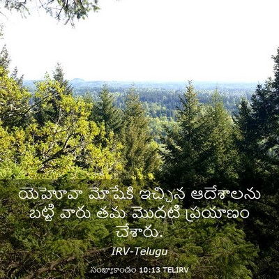 Picture 03 - సంఖ్యాకాండం 10:13 TELIRV - యెహోవా మోషేకి - Bible Verse Picture