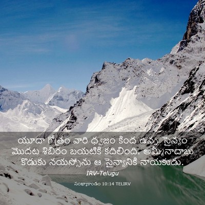 Picture 03 - సంఖ్యాకాండం 10:14 TELIRV - యూదా గోత్రం వారి - Bible Verse Picture