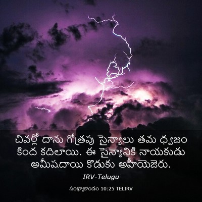 Picture 03 - సంఖ్యాకాండం 10:25 TELIRV - చివర్లో దాను - Bible Verse Picture