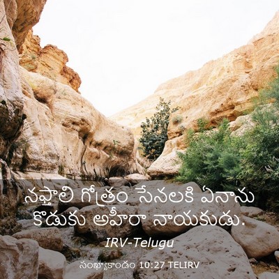 Picture 03 - సంఖ్యాకాండం 10:27 TELIRV - నఫ్తాలి గోత్రం - Bible Verse Picture