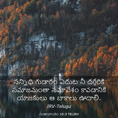 Picture 03 - సంఖ్యాకాండం 10:3 TELIRV - సన్నిధి గుడారం - Bible Verse Picture