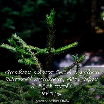 Picture 03 - సంఖ్యాకాండం 10:4 TELIRV - యాజకులు ఒకే బాకా - Bible Verse Picture