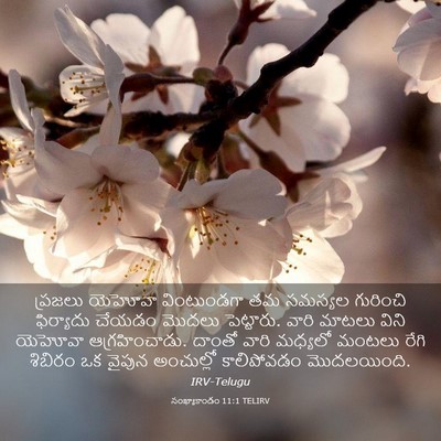 Picture 03 - సంఖ్యాకాండం 11:1 TELIRV - ప్రజలు యెహోవా - Bible Verse Picture