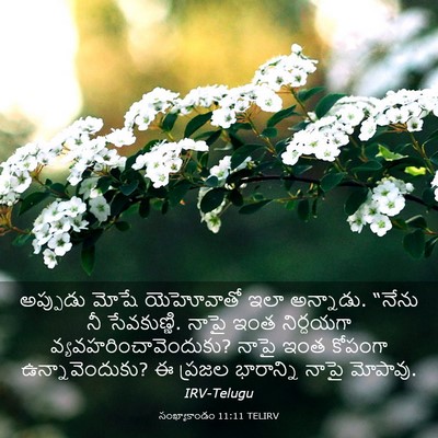 Picture 03 - సంఖ్యాకాండం 11:11 TELIRV - అప్పుడు మోషే - Bible Verse Picture