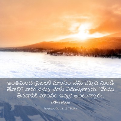 Picture 03 - సంఖ్యాకాండం 11:13 TELIRV - ఇంతమంది ప్రజలకి - Bible Verse Picture