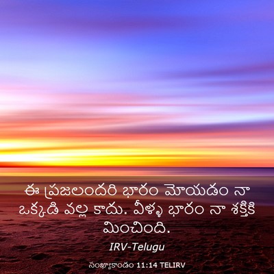 Picture 03 - సంఖ్యాకాండం 11:14 TELIRV - ఈ ప్రజలందరి భారం - Bible Verse Picture