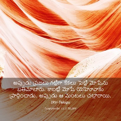 Picture 03 - సంఖ్యాకాండం 11:2 TELIRV - అప్పుడు ప్రజలు - Bible Verse Picture