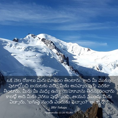 Picture 03 - సంఖ్యాకాండం 11:20 TELIRV - ఒక నెల రోజులు మీరు - Bible Verse Picture