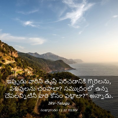 Picture 03 - సంఖ్యాకాండం 11:22 TELIRV - ఇప్పుడు వారిని - Bible Verse Picture