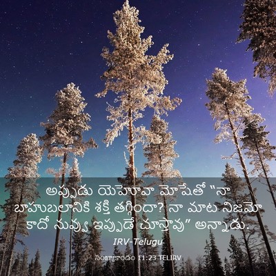 Picture 03 - సంఖ్యాకాండం 11:23 TELIRV - అప్పుడు యెహోవా - Bible Verse Picture