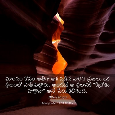 Picture 03 - సంఖ్యాకాండం 11:34 TELIRV - మాంసం కోసం అతిగా - Bible Verse Picture