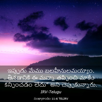 Picture 03 - సంఖ్యాకాండం 11:6 TELIRV - ఇప్పుడు మేము - Bible Verse Picture