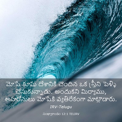 Picture 03 - సంఖ్యాకాండం 12:1 TELIRV - మోషే కూషు - Bible Verse Picture