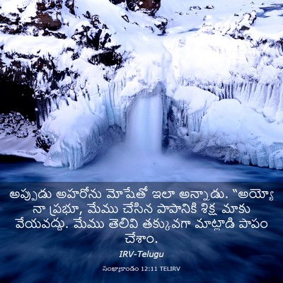 Picture 03 - సంఖ్యాకాండం 12:11 TELIRV - అప్పుడు అహరోను - Bible Verse Picture