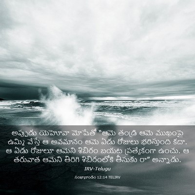 Picture 03 - సంఖ్యాకాండం 12:14 TELIRV - అప్పుడు యెహోవా - Bible Verse Picture