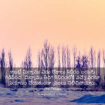 Picture 03 - సంఖ్యాకాండం 12:15 TELIRV - కాబట్టి మిర్యాము - Bible Verse Picture