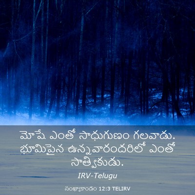 Picture 03 - సంఖ్యాకాండం 12:3 TELIRV - మోషే ఎంతో - Bible Verse Picture