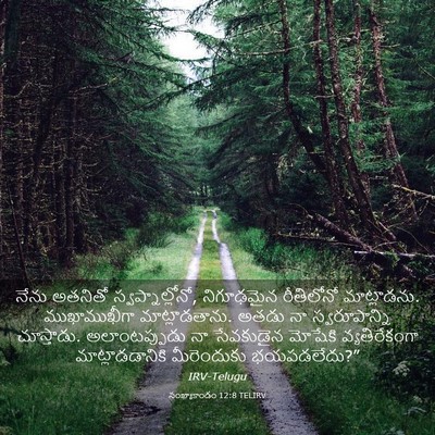 Picture 03 - సంఖ్యాకాండం 12:8 TELIRV - నేను అతనితో - Bible Verse Picture